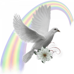 colombe-fleur_931444490